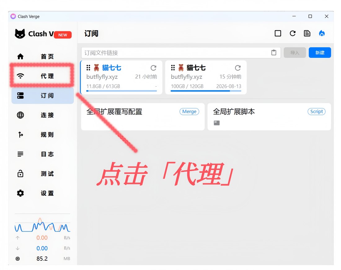 左侧菜单点击「代理」